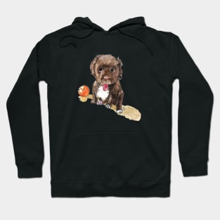 Nana is a spaniel Hoodie